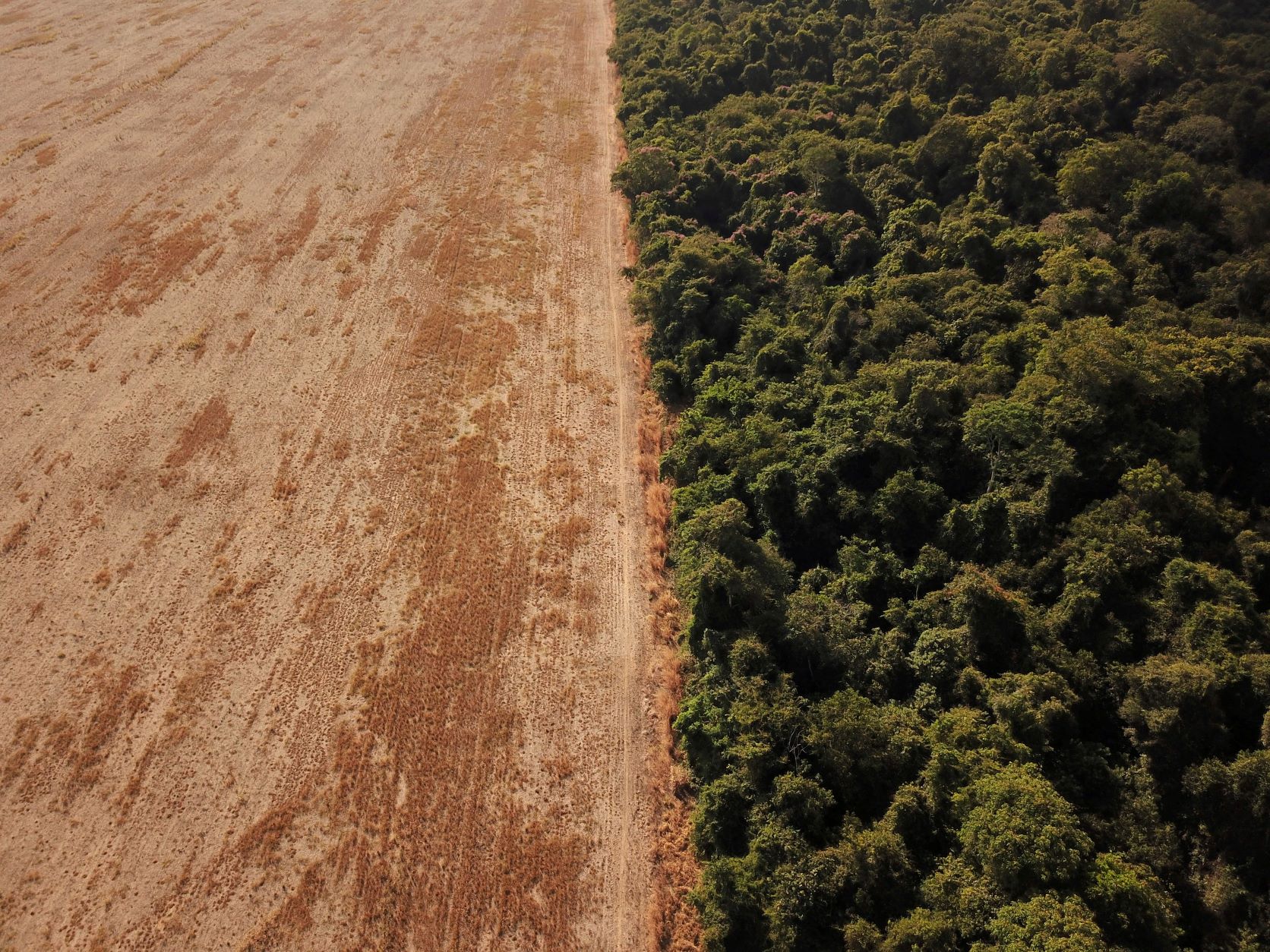 Brasil: Desmatamento da Amazônia atingiu nível recorde em abril