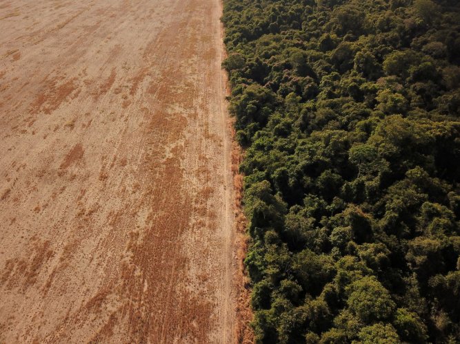 Brésil : La déforestation de l'Amazonie atteint un record en avril