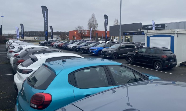 Le marché VO à la peine en janvier