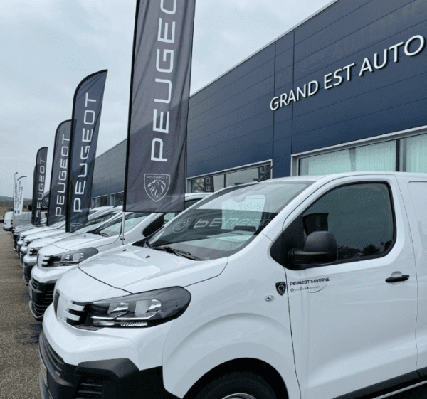 Le groupe Hess envisage le rachat de Grand Est Automobiles