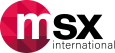 Msx International
